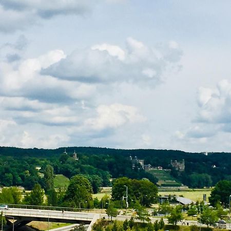 Panoramablick Auf Elbe Und Schlosser Dresden Exterior photo